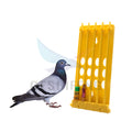 Geshifeng GSF Factory G1247-3 Pigeon Ring Holder PP Plastic Accessories for Birds Parrots Leg Rings Holder