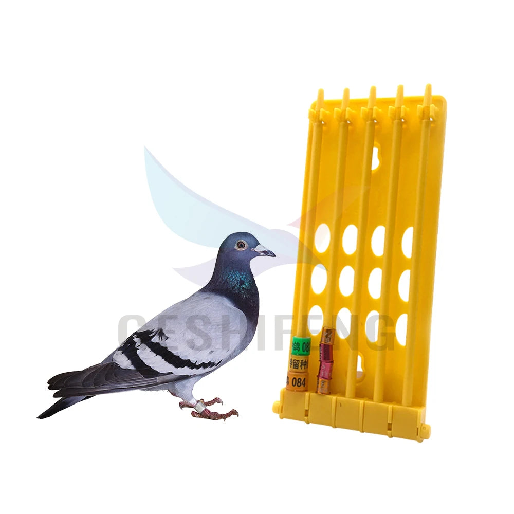 Geshifeng GSF Factory G1247-3 Pigeon Ring Holder PP Plastic Accessories for Birds Parrots Leg Rings Holder