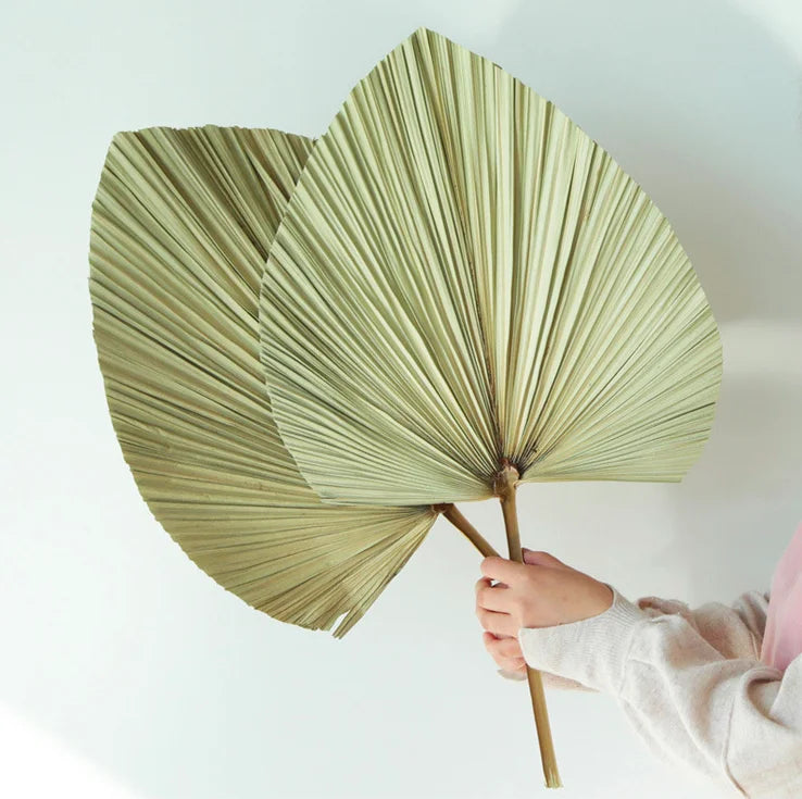 Elegant Wedding Decor Plates Natural Color Dried Palm Leaves Eucalyptus Flowers Stylish Wedding Mother's Day Christmas