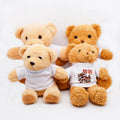 RubySub Polyester Sublimation Teddy Bear Tshirts Blanks with Bear