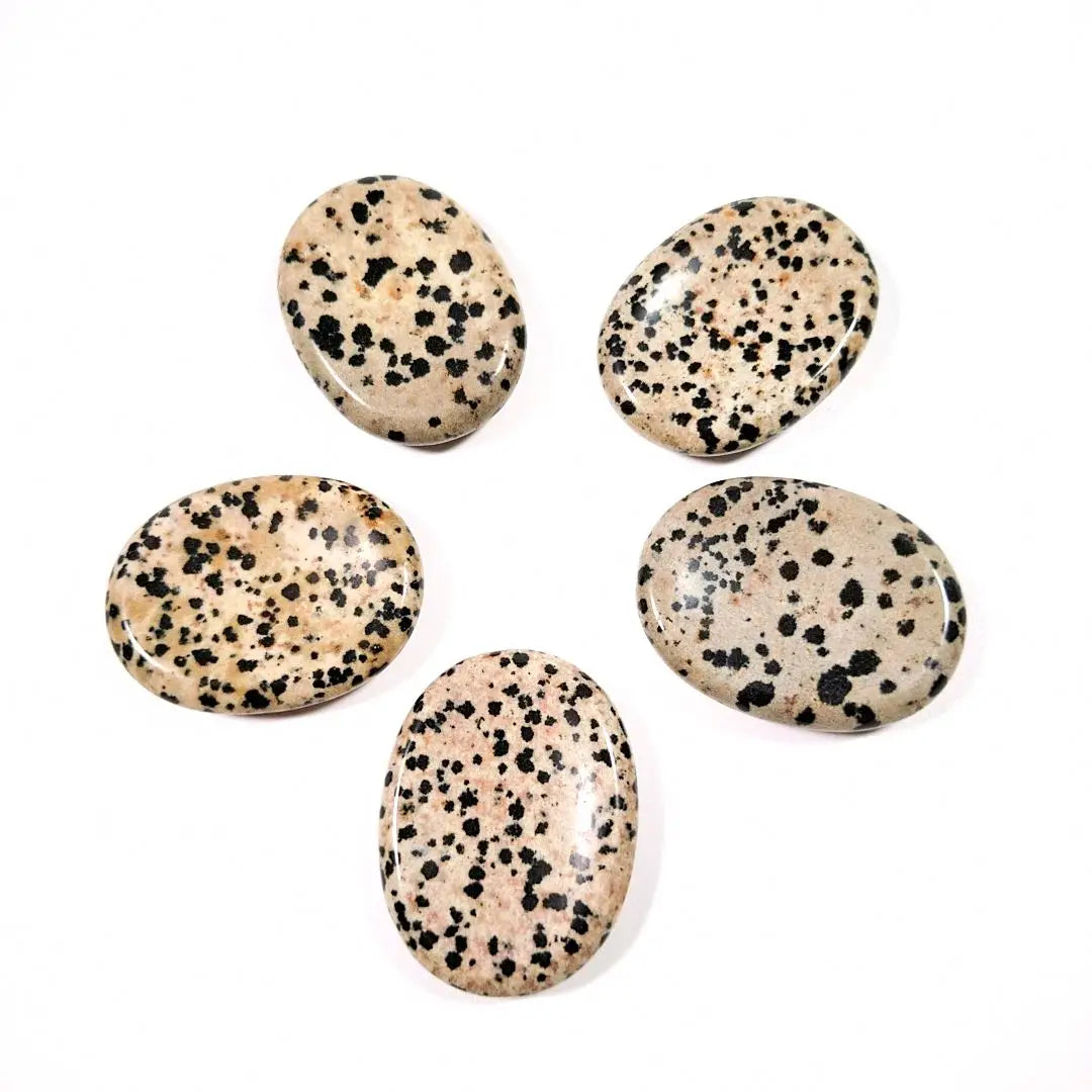 DIY Assorted Natural Dalmatian Jasper Thumb Stone Palm Worry Stone Healing Crystal Crafts