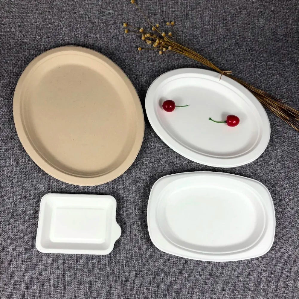 R03 15%off Biodegradable Bagasse Party Plates Disposable Compostable Microwave & Freeze Safe EU/LFGB Certified