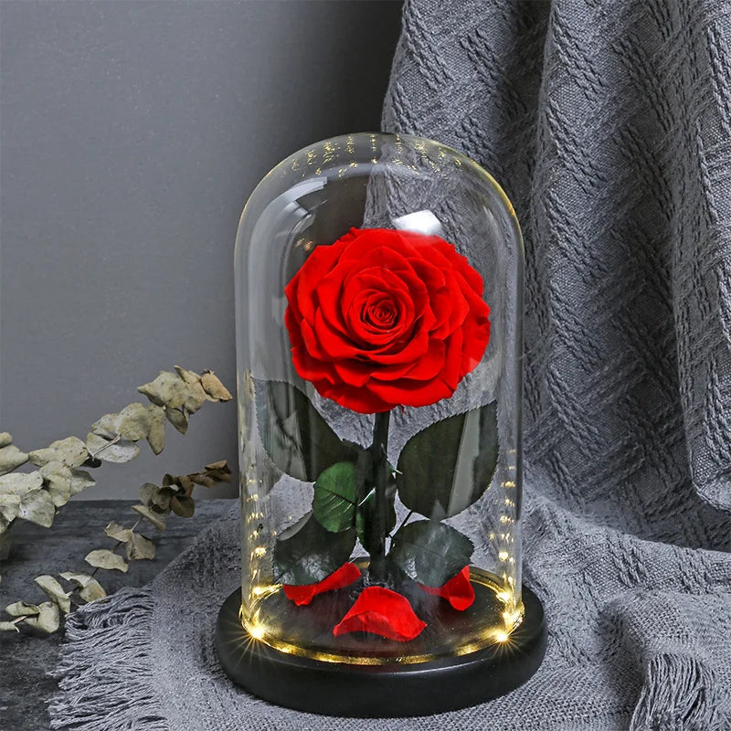 Natural Everlasting Eternal Rose Preserved in Glass Dome LED Christmas and Mother's Day Gift Decor