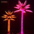 Giant LED Green Coconut Palm Tree Christmas New Year Waterproof Beach Decoration with LED Lights