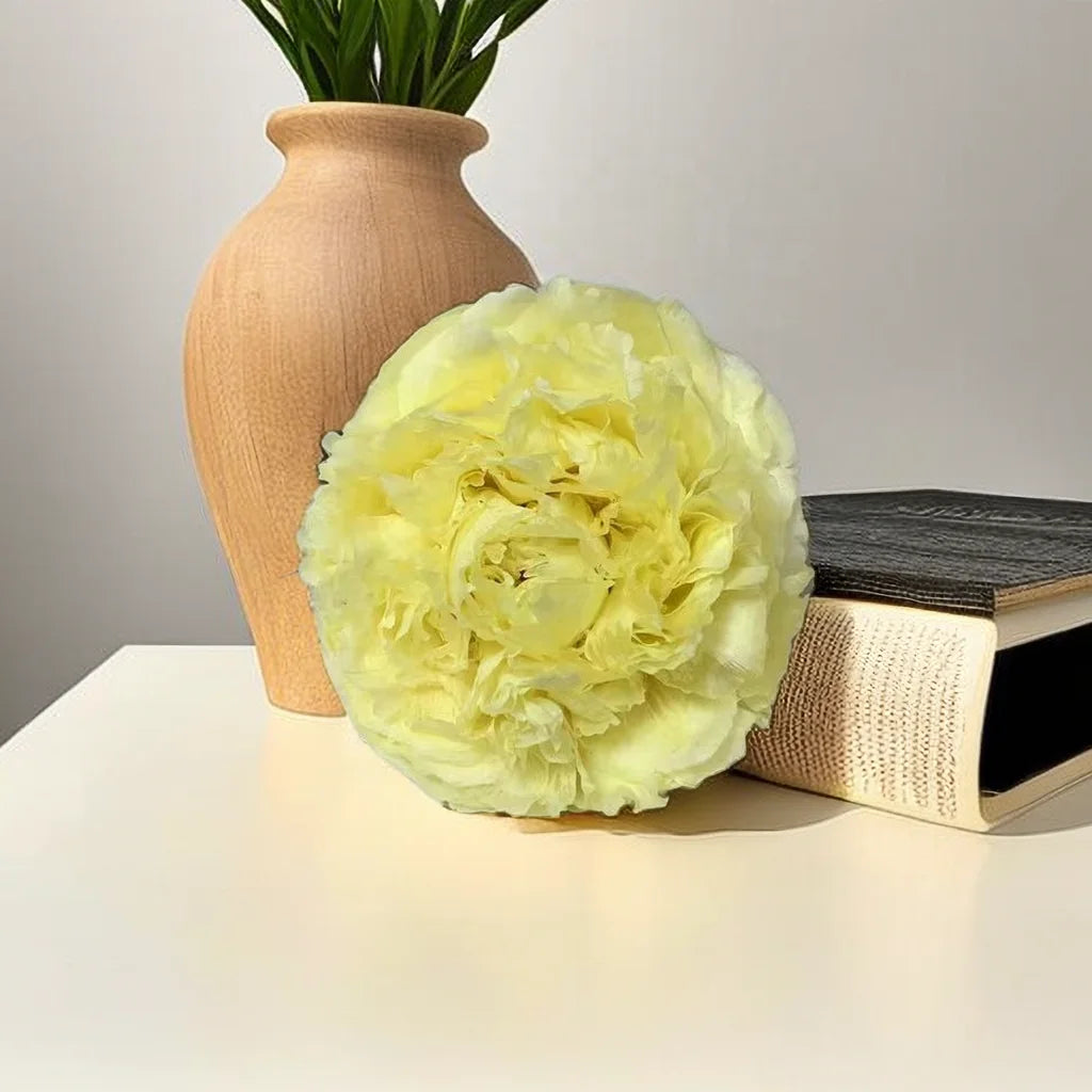 9-10cm Large Preserved Peony Flower Head Everlasting Real Peony for Wedding Bouquet DIY Gift Box