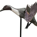 Xilei Professional Pintail Drakes Motorized Duck Decoy PE Material with Spinning Wing Remote Control Eco-Friendly for Hunting