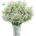 Elegant White Artificial Babies Breath Flowers for Wedding & Home Decoration Elegant Artificial Plants Bouquets