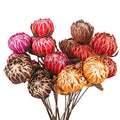 Hot Selling Handmade Large Head Artificial Protea Flower for Home Party Wedding Events Decoration