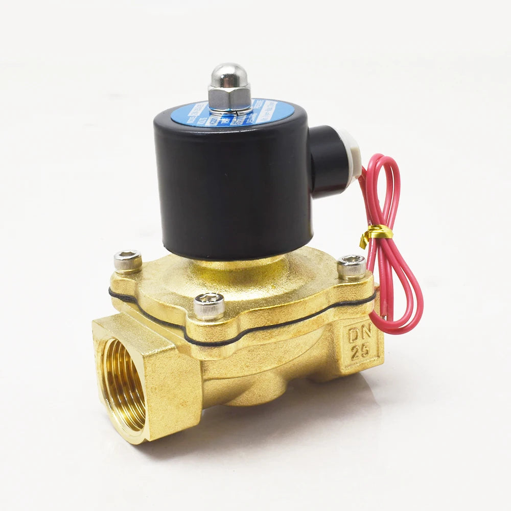 2W250-25 Big Size AC220V DC24V AC110V DC12V Water Solenoid Valve 1 Inch Brass Control Valve