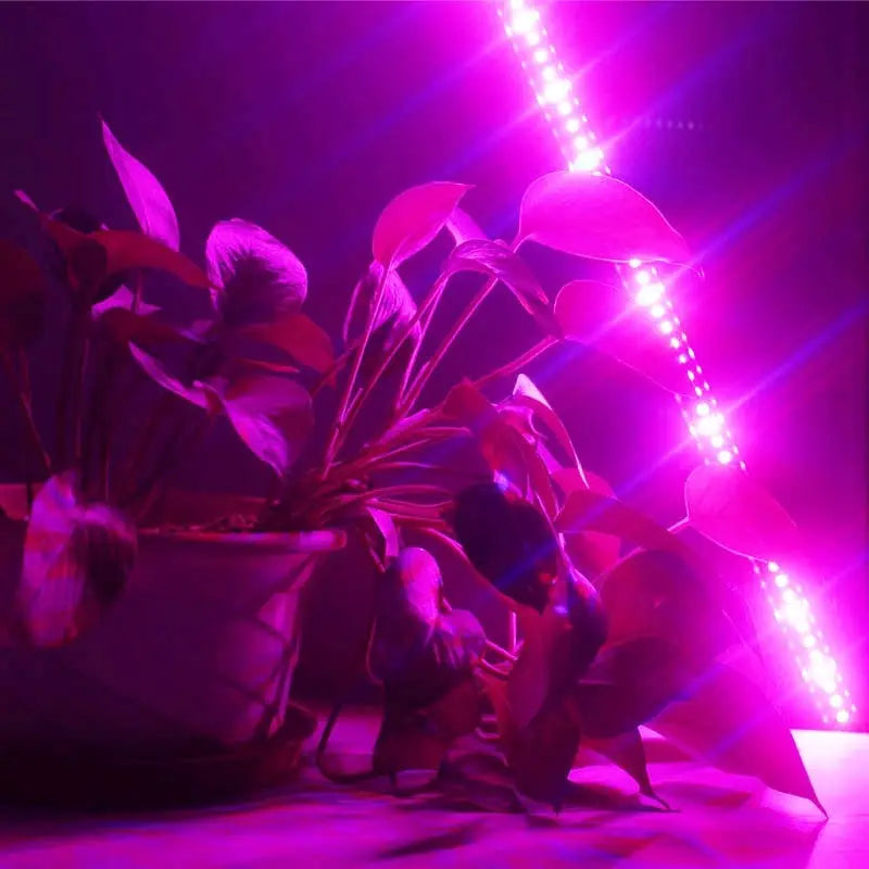 Plant Grow Light for   Full Spectrum Indoor Plants Plant Growing Lamps for Seedlings Brightness Settings