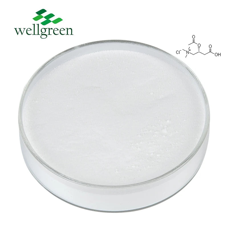 CAS 6645-46-1 Acetyl-l-carnitine Acetyl L-carnitine Hcl 99% Powder Hydrochloride L-carnitine Hcl