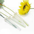 INUNION Popular Plastic Transparent Cover Fresh Flower Vials Picks Fresh Flower Nutrition Pipe Floral Water Tubes for Flower