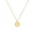 Winter Christmas Niche Sweater Chain White Sea Shell Daisy Flower Stainless Steel Pendant Necklace