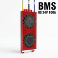 Waterproof 4S 8S 12V 24V 100A 200A 300A LiFePO4 Battery BMS for Household Solar Energy Storage System with Common Port