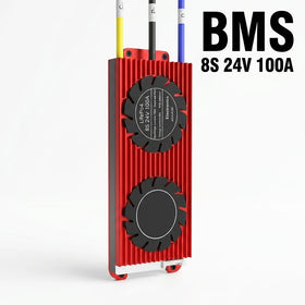 Waterproof 4S 8S 12V 24V 100A 200A 300A LiFePO4 Battery BMS for Household Solar Energy Storage System with Common Port