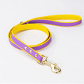 Double Color Convex Texture Traction Rope Anti-Lost Pet Dog Chain Rivet Decoration Outdoor Sports TPU Material Solid Pattern