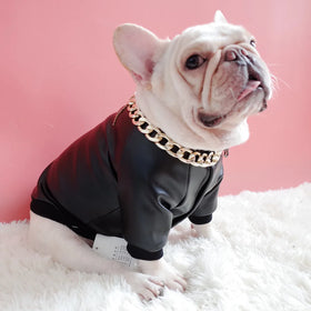 Pet Dog Clothes Waterproof Winter Cat Dog Clothing Apparel Leather Winter Jacket for Dogs Pet Outwear Factory Wholesale Leather