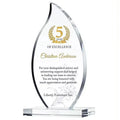 Factory Custom Acrylic Award Acrylic Trophy Display