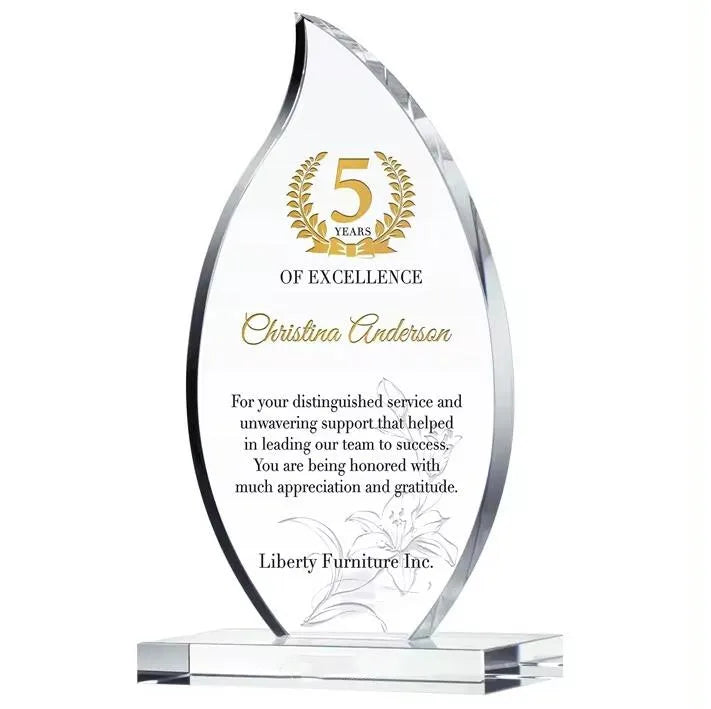 Factory Custom Acrylic Award Acrylic Trophy Display