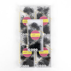 Private Label Premade Fans Lashes Loose Fans 1000 Fan 3D 4D 5D 6D 8D 10D 12D 16D 20D Private Label Eyelash Extensions