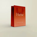 Heal System Gradient Change Ins Wind Gift Bag Tote Bag Senior Sentimental Birthday Gift Wrapping Bag