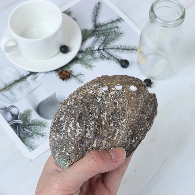 CELION Factory Direct Wholesale Unpolished Smudge Kit with Abalone Shell Wholesale in Stock