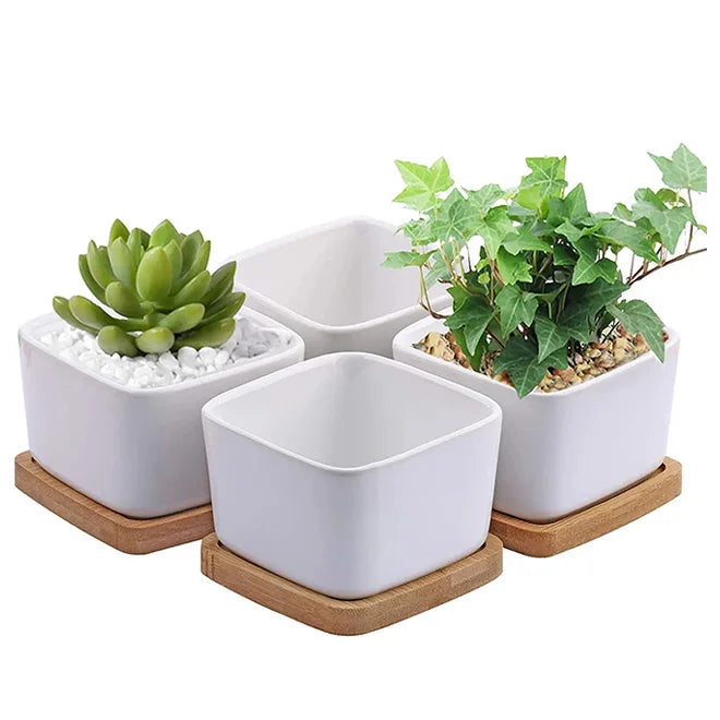 Small White Succulent Planter Pots with Bamboo Tray Square Geometric Cactus Plant Holder for Home Office Table or Garden Use
