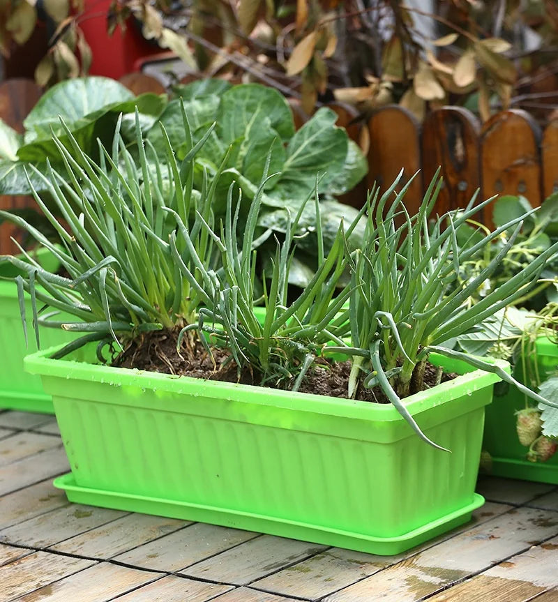 59cm 49cm 43cm Classical Rectangle Colorful Plastic Vegetable Planting Pot