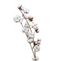 Wholesale Wedding Decoration Preserved Flower 100% Natural Environment-Friendly Long Life