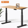 Dual Motor 3-Stage Sit-Stand Desk Height Adjustable Desk with Dual Electric Motors Three Stage Legs