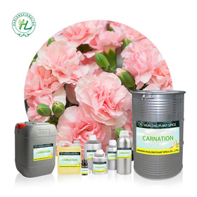 Dianthus Caryophyllus Flower Extract Liquid Bulk Supplier 1Kg Carnation Flower Absolute Essential Oil for Aromatherapy