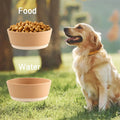 Premium Slow Feeder Dog Bowl Food Storage and Grade Pet Cat Bowl with Feeders Convenient for Training and Nourishment