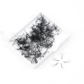 Private Label Promade Lash Extension Fans Super Soft Natural Look Dark Black Cashmere Quality Loose Volume Synthetic Hair DD