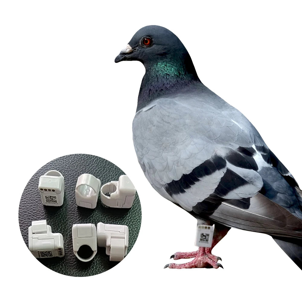 Pigeon Ring Bands 2022 GPS Bird tracker Real Time Position Localizador Gps Para Aves Mini Gps tracker for Birds