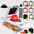 Multi-Functional Stainless Steel Vegetable Cutter Easy Onion Dicer Potato Slicer/Shredder Manual Cross-Border Kitchen Tool PP