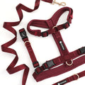 OEM Custom Jacquard Logo Webbing Dog Leash and Collar Set Adjustable No-pull Vests Y Dog Harness Polar Dog Harness Manufacturer