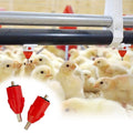 YYX LM119 Wholesale Ball Valve Duck Quail Broiler Water Drinking Line System Ziggity Nipple Drinker Chicken Poultry