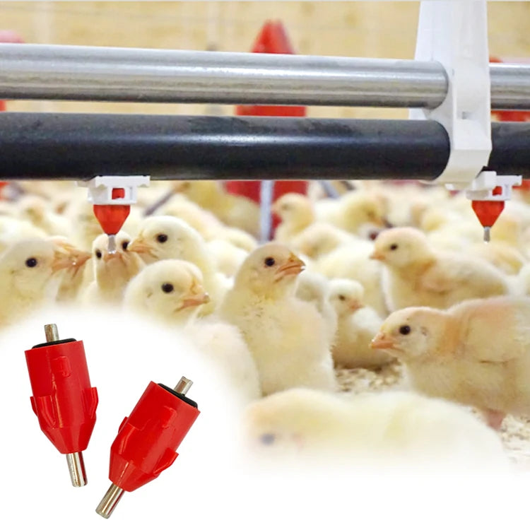 YYX LM119 Wholesale Ball Valve Duck Quail Broiler Water Drinking Line System Ziggity Nipple Drinker Chicken Poultry