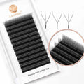 LashPlus Korea PBT 3D 4D 5D 6D 8D 0.05 0.07 W Shape Lashes Supplies Eyelash Extension w Premade