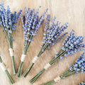 Lavender Cross-Border DIY Photo Props Small Natural Dried Flowers Bouquet Hot-Selling for Easter Christmas Eucalyptus Pampas MegaBDM