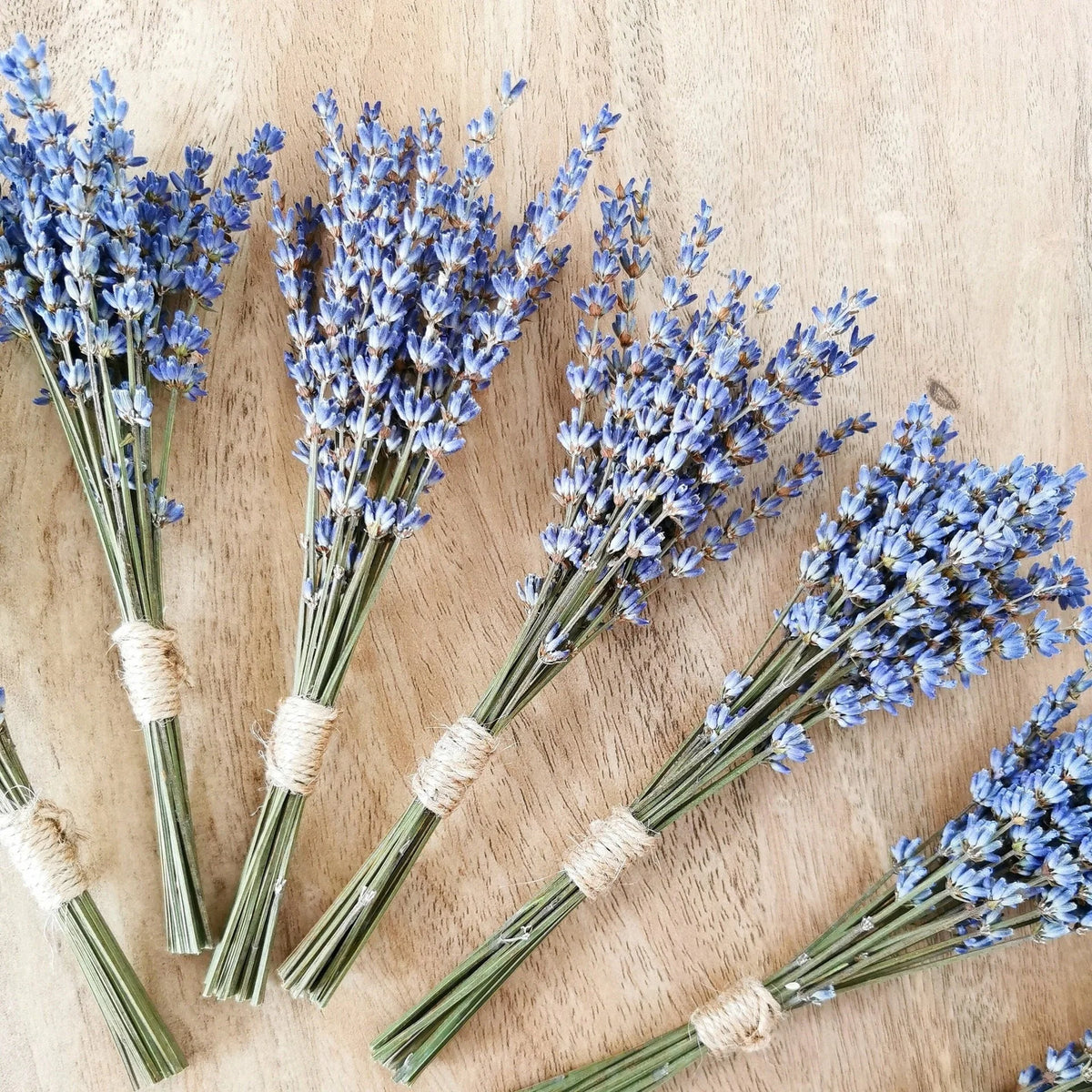 Lavender Cross-Border DIY Photo Props Small Natural Dried Flowers Bouquet Hot-Selling for Easter Christmas Eucalyptus Pampas MegaBDM