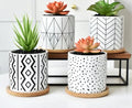Handmade Large Geometric Ceramic Flowerpot for Succulents New Cross-Border E-commerce Platform Home Decoration Modern Matt Small