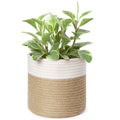 Decorative Flower Pots Cover Laundry Bin Modern Woven Storage Basket White and Beige Cotton Rope Plant Baskets With Handle