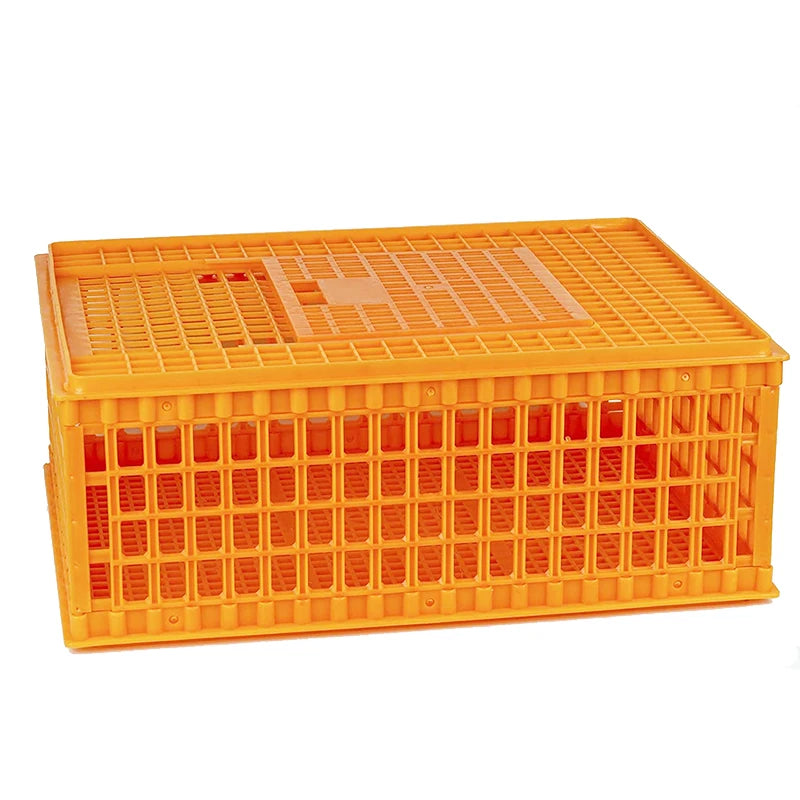 Best Quality Poultry Plastic Transport Crate Chicken Cage Chick Turnover Box