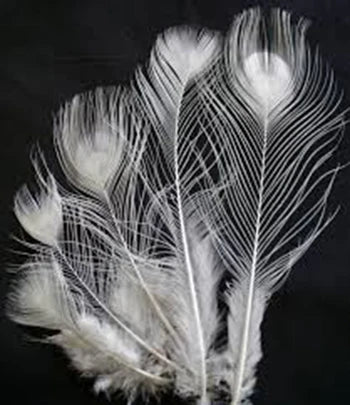 Natural Peacock Eye Peacock Feathers for Sale Party Carnival Home Wedding Centerpiece Xmas Vase Holiday Decor DIY Craft Floral