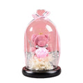 2020 Preserved Lower Flor Eternal Preserved Rose Bear Flower Teddy Bear Christmas Gift Waterproof High Quality