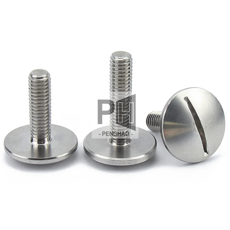 M2.5 M2 M3 M4 M5 M6 Durable 304 Stainless Steel Slot Extra Large Flat Head GB947 Screw Flat Round Head Bolt Slotted Screw