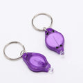2025 Luz Led Con Llavero Personalizados Porte Cle Custom Led Keyring Keyholder Keychains 365-405nm UV Led Key Chain Light