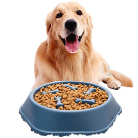 Durable Anti-Choke Eco-Friendly Waterproof Pet Slow Feeding Bowls for Small Dogs Non-Slip Plastic Rice Basin