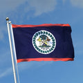Johnin Wholesale  Fast Shipping Custom flag 100% Polyester flags 3x5ft Belize Country Flag